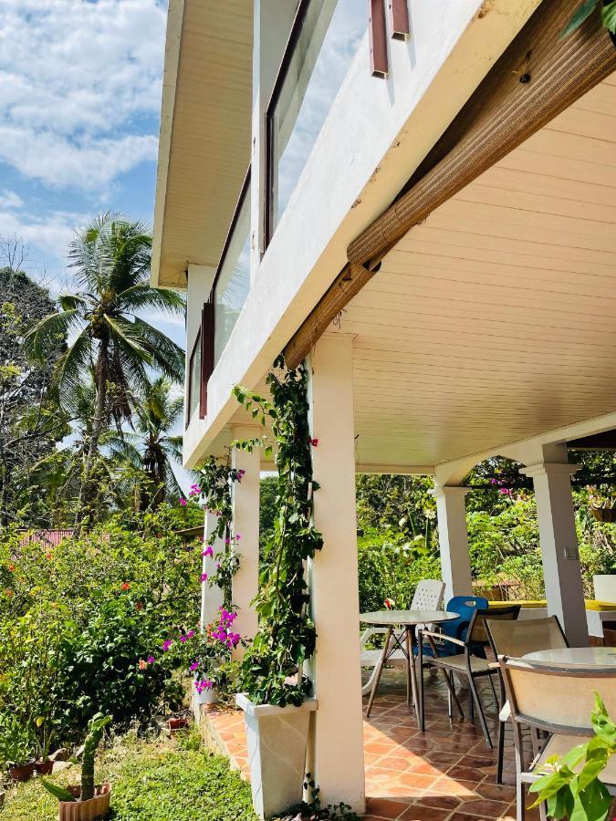 ホテル Coibahouse サンタ・カタリナ エクステリア 写真
