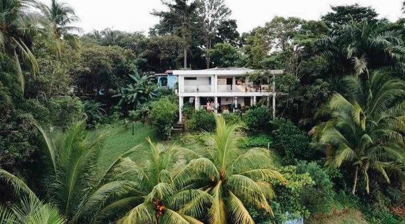 ホテル Coibahouse サンタ・カタリナ エクステリア 写真